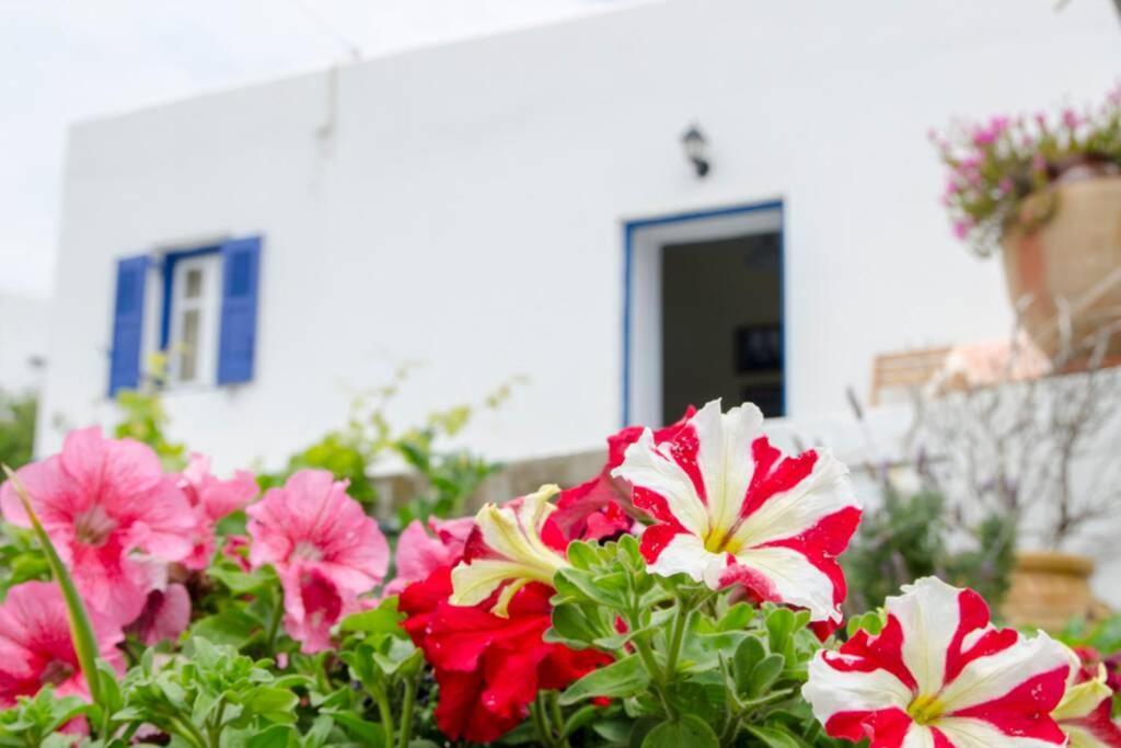 Cycladic Houses In Rural Surrounding 4 Tholária Exterior foto
